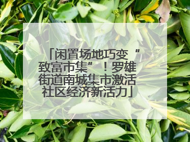 闲置场地巧变“致富市集”！罗雄街道南城集市激活社区经济新活力