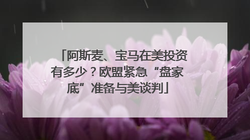 阿斯麦、宝马在美投资有多少？欧盟紧急“盘家底”准备与美谈判