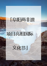 阜阳两非遗项目亮相国际文化节