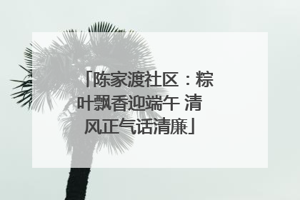 陈家渡社区：粽叶飘香迎端午 清风正气话清廉