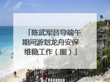 陈武军督导端午期间游划龙舟安保维稳工作（图）