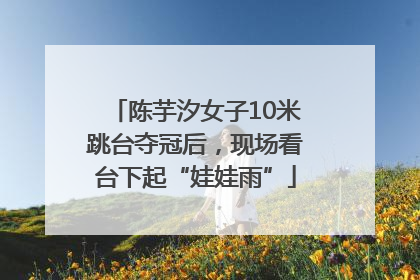 陈芋汐女子10米跳台夺冠后，现场看台下起“娃娃雨”