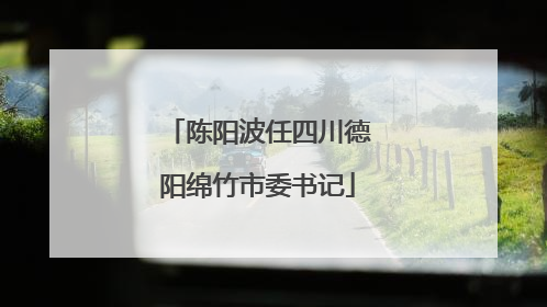 陈阳波任四川德阳绵竹市委书记