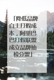 降低品牌自主打假成本，阿里巴巴打假联盟成立品牌抽检分盟