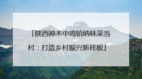 陕西神木中鸡镇纳林采当村：打造乡村振兴新样板