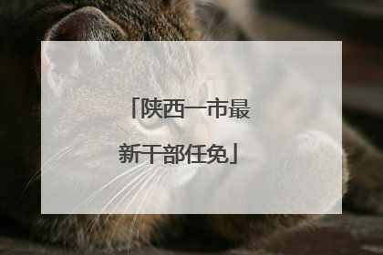 陕西一市最新干部任免