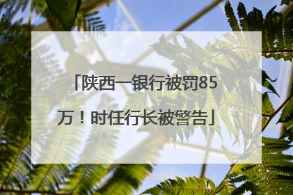 陕西一银行被罚85万！时任行长被警告