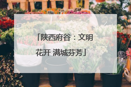 陕西府谷：文明花开 满城芬芳