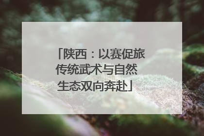 陕西：以赛促旅 传统武术与自然生态双向奔赴