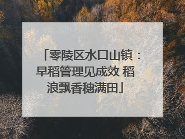 零陵区水口山镇：早稻管理见成效 稻浪飘香穗满田