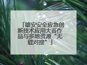 雄安安全应急创新技术应用大赛作品与多地资源“无缝对接”