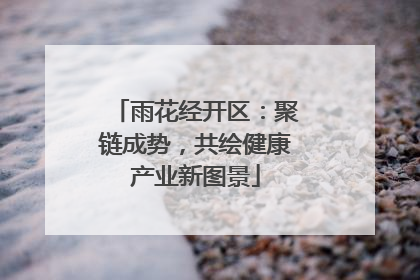 雨花经开区：聚链成势，共绘健康产业新图景