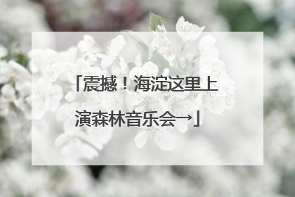 震撼！海淀这里上演森林音乐会→