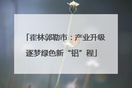 霍林郭勒市：产业升级逐梦绿色新“铝”程