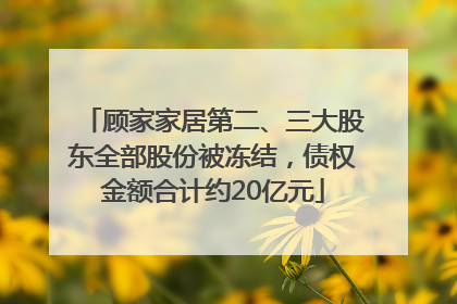 顾家家居第二、三大股东全部股份被冻结，债权金额合计约20亿元