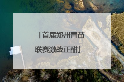 首届郑州青苗联赛激战正酣