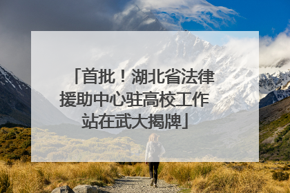 首批！湖北省法律援助中心驻高校工作站在武大揭牌