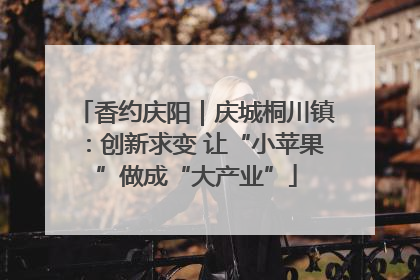 香约庆阳｜庆城桐川镇：创新求变 让“小苹果”做成“大产业”
