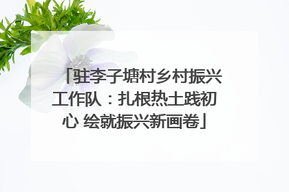 驻李子塘村乡村振兴工作队：扎根热土践初心 绘就振兴新画卷