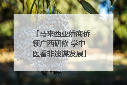 马来西亚侨商侨领广西研修 学中医看非遗谋发展