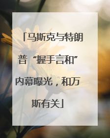 马斯克与特朗普“握手言和”内幕曝光，和万斯有关
