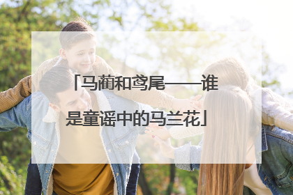 马蔺和鸢尾——谁是童谣中的马兰花