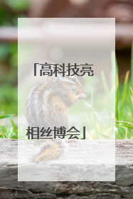 高科技亮相丝博会