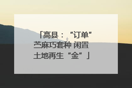 高县：“订单”苎麻巧套种 闲置土地再生“金”