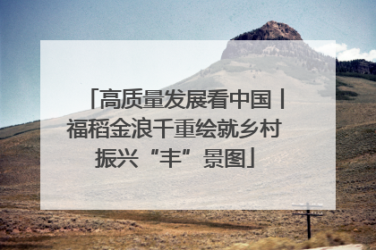 高质量发展看中国丨福稻金浪千重绘就乡村振兴“丰”景图
