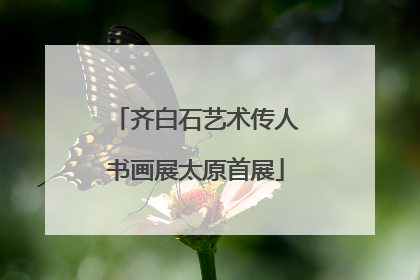 齐白石艺术传人书画展太原首展