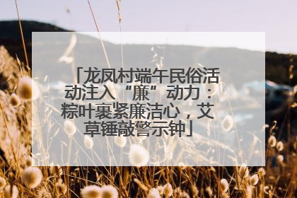 龙凤村端午民俗活动注入“廉”动力：粽叶裹紧廉洁心，艾草锤敲警示钟