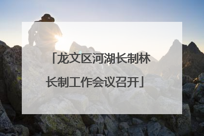 龙文区河湖长制林长制工作会议召开