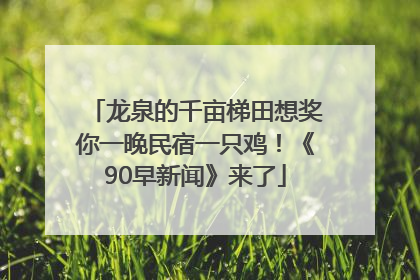 龙泉的千亩梯田想奖你一晚民宿一只鸡！《90早新闻》来了