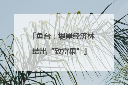 鱼台：堤岸经济林结出“致富果”
