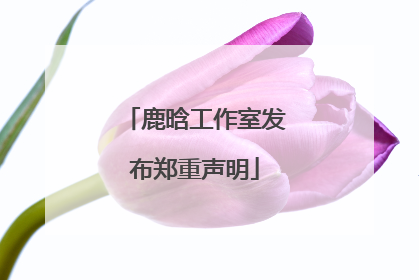鹿晗工作室发布郑重声明