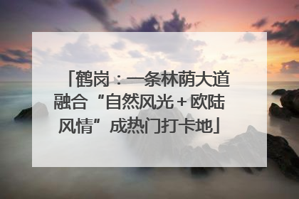 鹤岗：一条林荫大道融合“自然风光＋欧陆风情”成热门打卡地