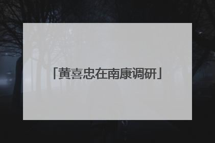 黄喜忠在南康调研