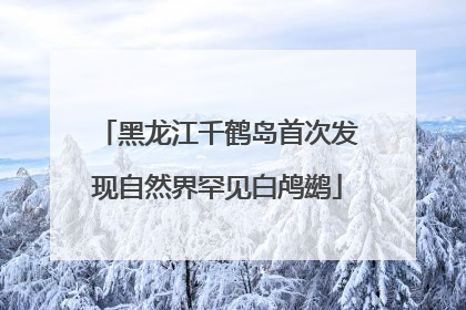 黑龙江千鹤岛首次发现自然界罕见白鸬鹚