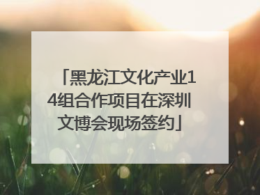 黑龙江文化产业14组合作项目在深圳文博会现场签约