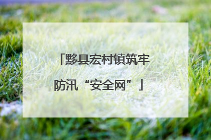 黟县宏村镇筑牢防汛“安全网”