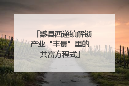 黟县西递镇解锁产业“丰景”里的共富方程式
