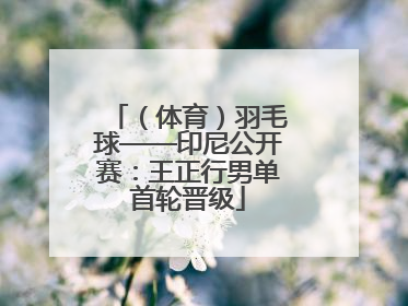 （体育）羽毛球——印尼公开赛：王正行男单首轮晋级