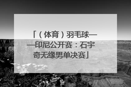 （体育）羽毛球——印尼公开赛：石宇奇无缘男单决赛