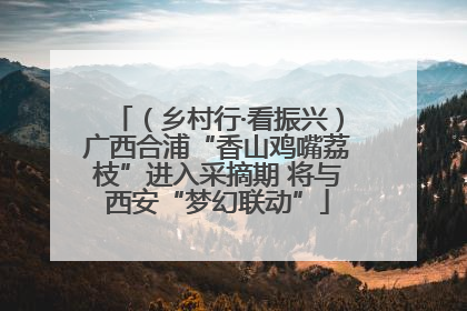 （乡村行·看振兴）广西合浦“香山鸡嘴荔枝”进入采摘期 将与西安“梦幻联动”