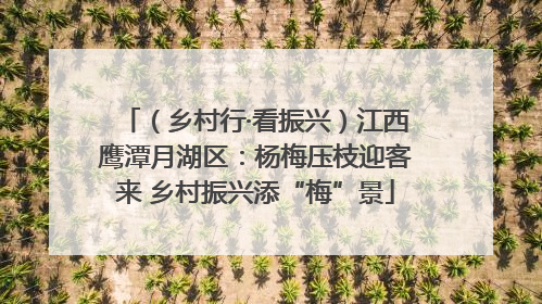 （乡村行·看振兴）江西鹰潭月湖区：杨梅压枝迎客来 乡村振兴添“梅”景