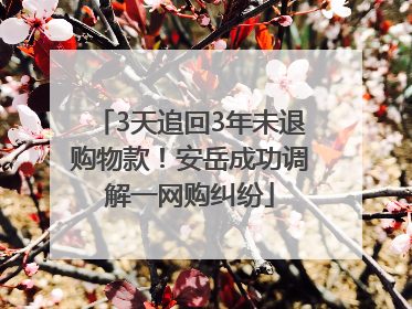 3天追回3年未退购物款！安岳成功调解一网购纠纷