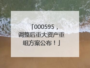 000595，调整后重大资产重组方案公布！