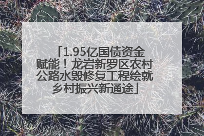 1.95亿国债资金赋能！龙岩新罗区农村公路水毁修复工程绘就乡村振兴新通途
