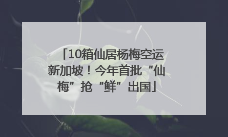 10箱仙居杨梅空运新加坡！今年首批“仙梅”抢“鲜”出国