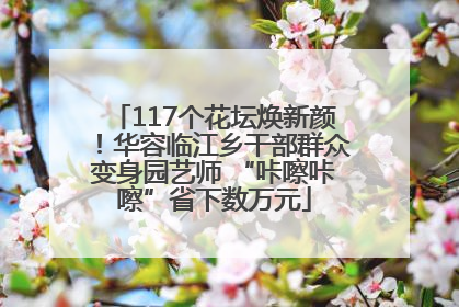 117个花坛焕新颜！华容临江乡干部群众变身园艺师 “咔嚓咔嚓”省下数万元